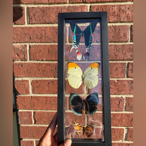 5 Butterflies Wall Hanging - Picture 8 of 10